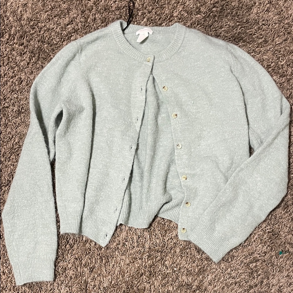 H&M Pale Mint Button-Up Crewneck Cardigan